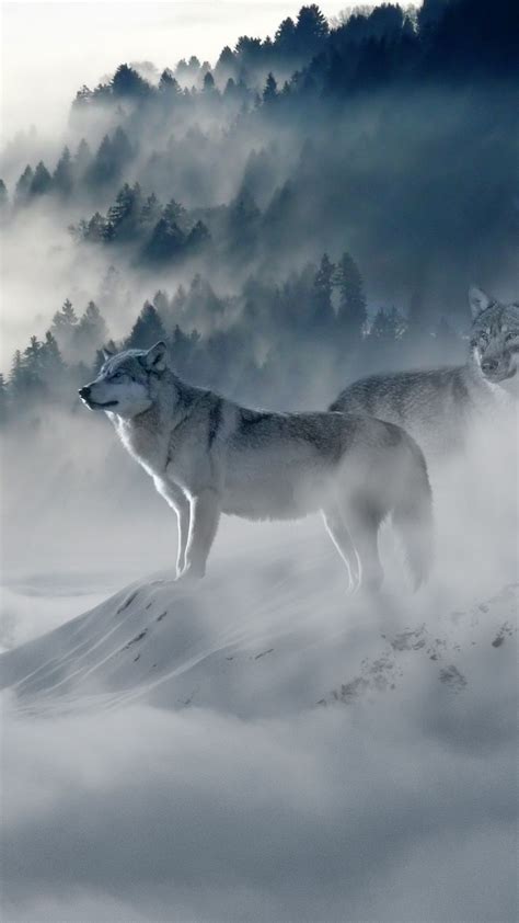 Snow Wolf In 1080x1920 Resolution Wolf Wallpaper Animal Wallpaper