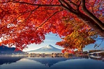 Why Fall May Be the Best Time to Visit Japan | Travel | Smithsonian