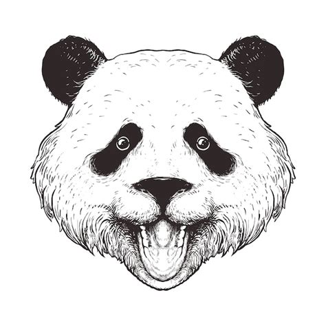 Premium Vector Panda Line Art Illustration