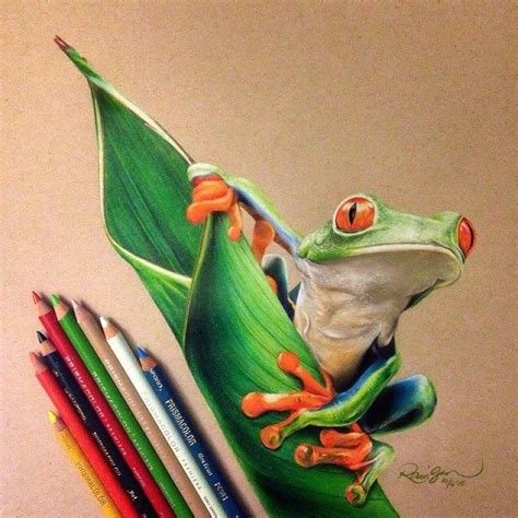 Realistic Color Pencil Animal Drawings Animal Drawings Prismacolor