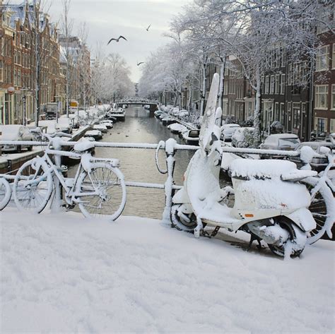 Fresh Snow Fallen In The Center Of Amsterdam © All Rights Flickr