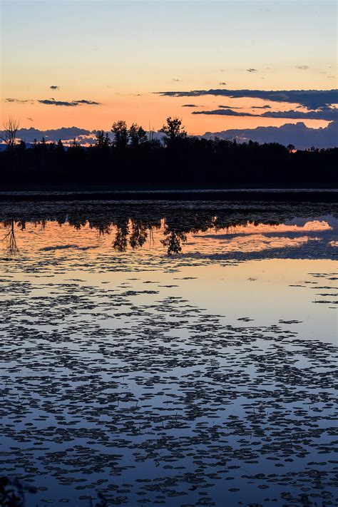 5k Free Download Lilly Pad Sunset Bonito Lake Landscape Montana