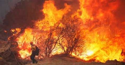 Fire Nears Tujunga Burns 50 Acres Los Angeles Times