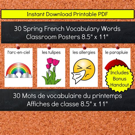 30 French Spring Vocabulary Words Classroom Posters Teaching Etsy