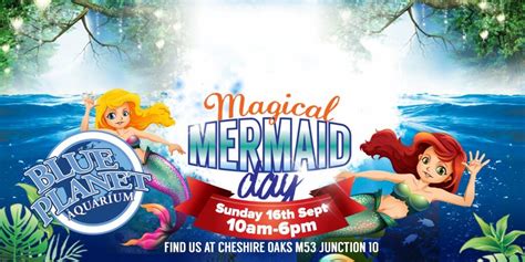 Faqs For This Sundays Magical Mermaid Day Blue Planet Aquarium