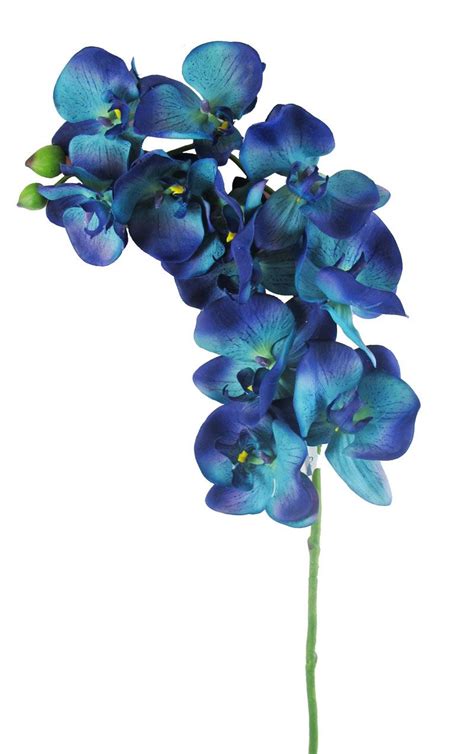 artificial blue dendrobium orchids orchid flowers