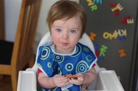5 Things Parents Should Know About Baby Led Weaning