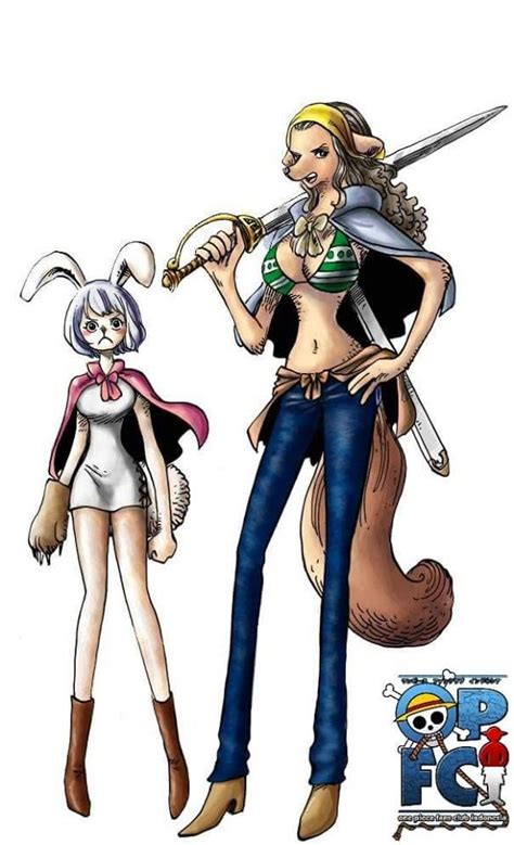 Carrot And Wanda One Piece Manga One Piece Roronoa Zoro