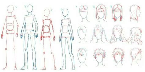 Torso Anatomy Drawing Anime Manga Anatomy How To Draw Female Body
