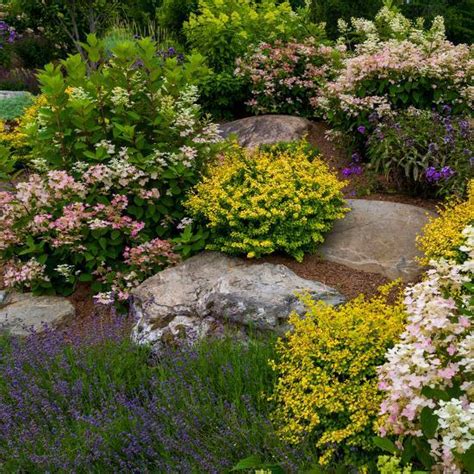 From what plants to grow and how to grow them, join our society to read the latest rock garden quarterly or engage in our annual seed. 24 Stunning Low-Maintenance Rock Garden Plants