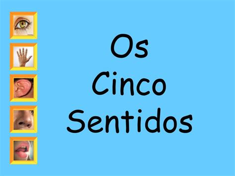 Ppt Os Cinco Sentidos Powerpoint Presentation Free Download Id1733321