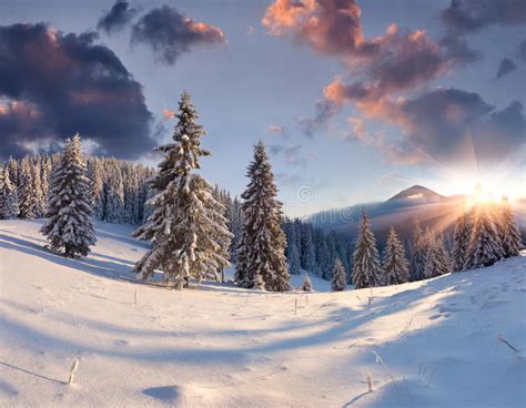 Beautiful Winter Sunrise In Mountains Stock Photo Image Of Beautiful