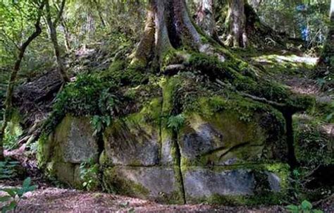 Kaimanawa Wall New Zealand Ancient Origins