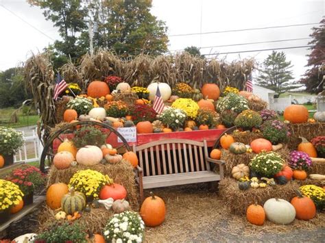 Spectacular Fall Decorations And Yard Installations Created With