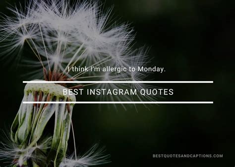 Best Instagram Quotes 500 Of The Ultimate Quotes For Instagram