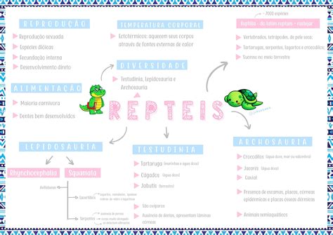 Mapa Mental Sobre Répteis Mapa Livro De Biologia Mapa Mental