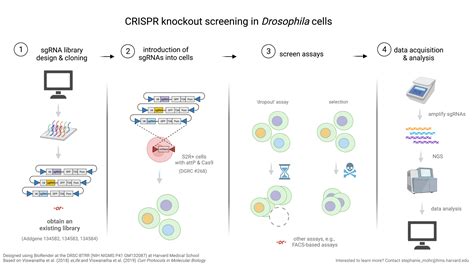 Cell Crispr Screen Reagents Drsctrip Functional Genomics Resources