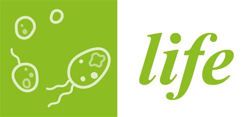 Life Png Images Png All Png All
