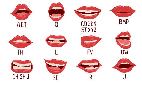 입 애니메이션 알파벳 발음 입술 위치 말하는 동안 여자 표정 하얀 치아와 혀 얼굴과 영어 문자의 일부 벡터 언어 치료 세트