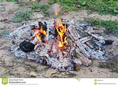 Burning Bonfire Stock Photo Image Of Black Energy Forest 42356412