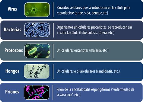 Unidad Didáctica 1 Generalidades De Microbiología Y Parasitología