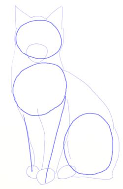 I'll show you how i drew mine, but feel free to follow your creative bliss and draw your cat in your own unique way. How to Draw a Realistic Cat - Draw Step by Step