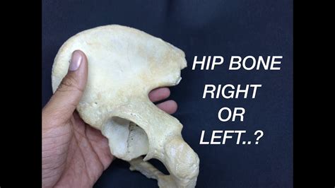 Hip Bone Side Determination And Anatomical Position Youtube