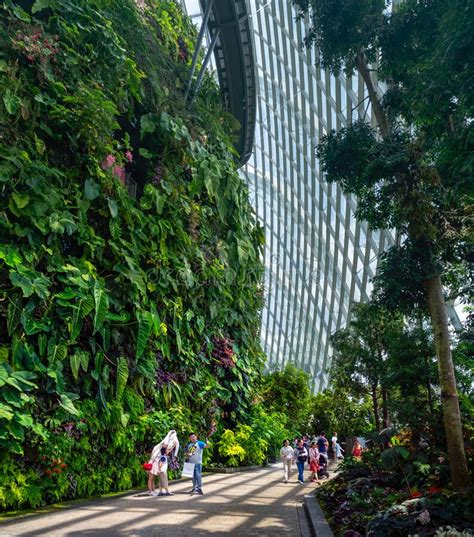Gardens By The Bay Urban Nature Park In Singapore Marina Bay Editorial