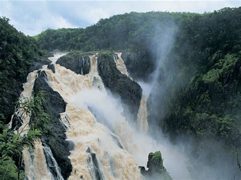 Exclusive Half Day Cairns Rainforest And Waterfall Tour Morning Afternoon