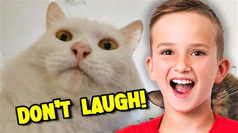 Extreme Try Not To Laugh Challenge Youtube