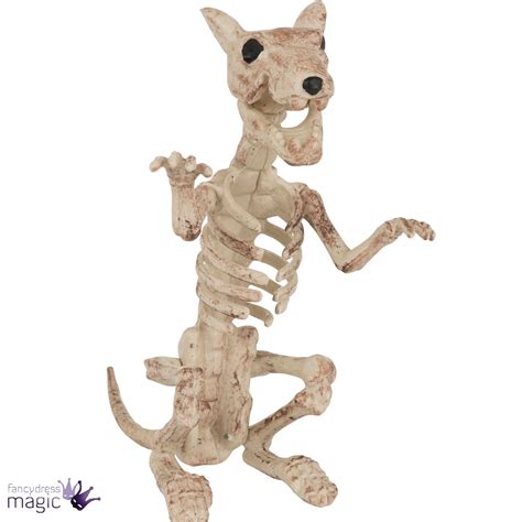 800 x 800 jpeg 215 кб. *Halloween Dog Cat Rat Bird Skeleton Decoration Animal ...