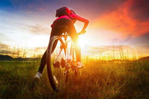 Young Woman Riding Mountain Bike On The Meadow At Sunset Stock Image