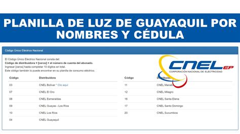 Planilla De Luz Guayaquil Por Nombres Y C Dula