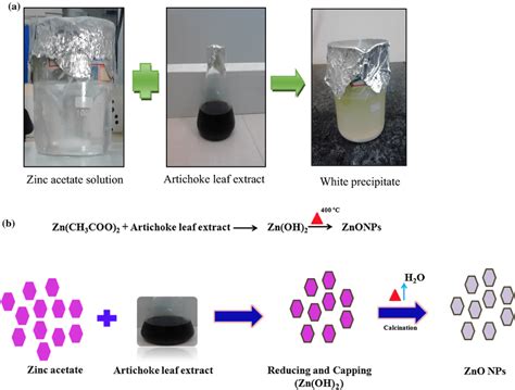 A Color Change And Formation Of White Precipitate B Mechanism Of