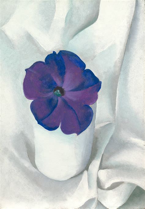 Georgia O'Keeffe, Petunia, 1925 · SFMOMA