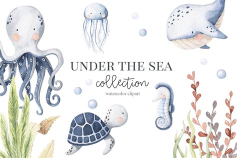 Under The Sea Watercolor Set Animal Illustrations Creative Market