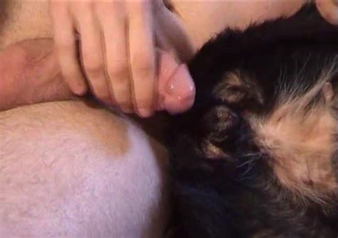 Perverted Guy Penetrates Black Female Dog Zoo Tube 1
