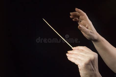 Orchestra Conductor Hands Stock Photo Image Of Melody 30315500