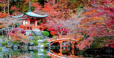 Most Beautiful Things In Japan 2990x1528 Download Hd Wallpaper