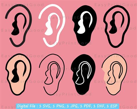 Human Ear Svg Ear Svg Human Ear Clipart Ear Clipart Ear Etsy Canada