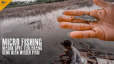Spot Mancing Wader Paling Potensial Di Jakarta Micro Fishing Youtube