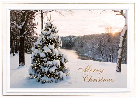 Holiday Tree At Sunset Christmas Card Winter Scenes From
