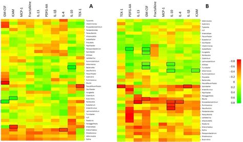 Heatmap Of Spearman S Correlation Test Between Gut Bacterial Genera And Download Scientific
