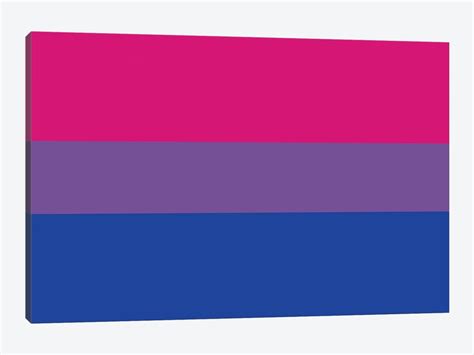 Bisexual Pride Flag Canvas Artwork By 5by5collective Icanvas
