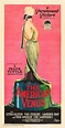 The American Venus (1926) movie poster