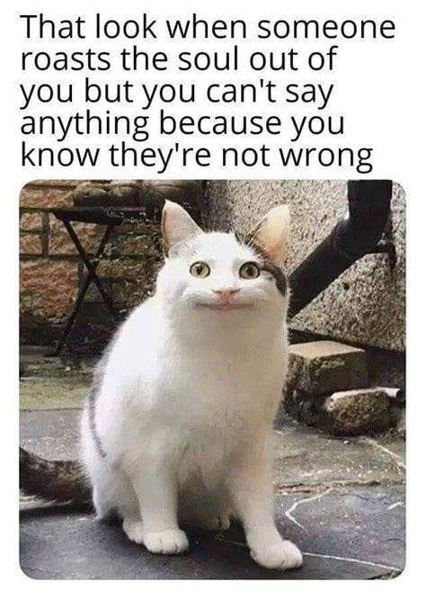 Punctuality definition, the quality or state of being punctual. Very Polite Cat Meme Cat