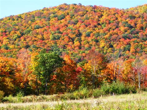 Vermonts Premier Hiking Spa Is Excited The Fall Foliage