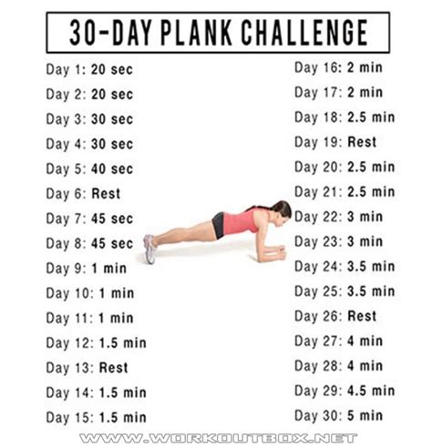 30 Day Plank Challenge Healthy Fitness Training Sixpack Core