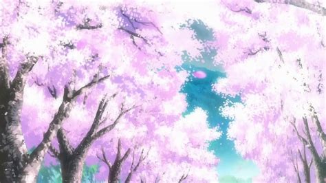 Cherry Blossom Tree Tumblr Background Flower Anime Cherry Blossom