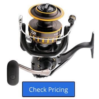 Daiwa BG SW Spinning Reel Review Salted Angler